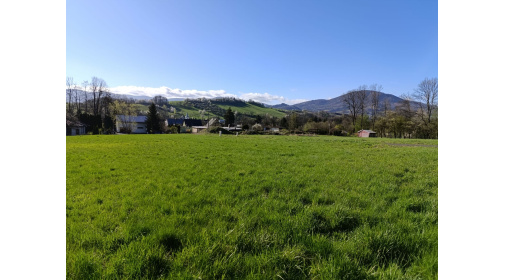 Stavební pozemek s výhledem na hory, Lichnov u Nového Jičína, cena za 1 m2