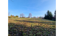 Prodej stavebního pozemku 2 674 m² Havířov -  Dolní Suchá